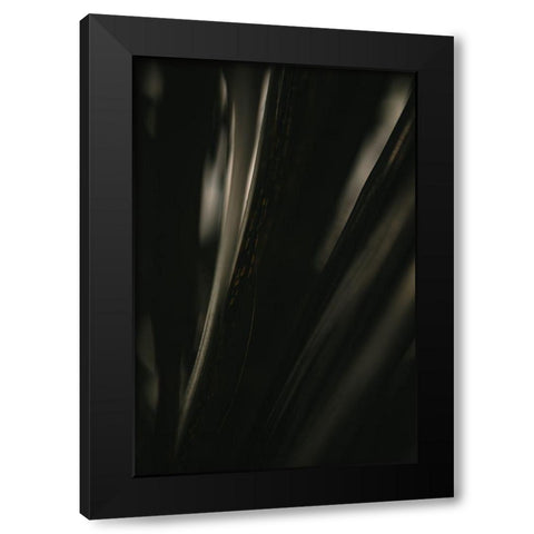 Botanical Series - Palm Leaf Black Modern Wood Framed Art Print with Double Matting by Elijas, Eva