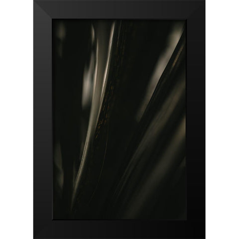 Botanical Series - Palm Leaf Black Modern Wood Framed Art Print by Elijas, Eva