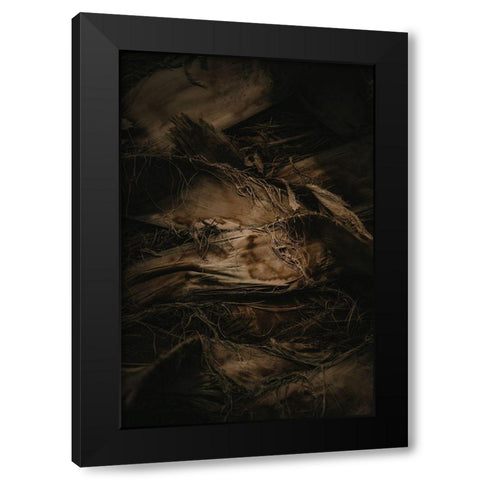 Botanical Series - Palm Bark Black Modern Wood Framed Art Print by Elijas, Eva