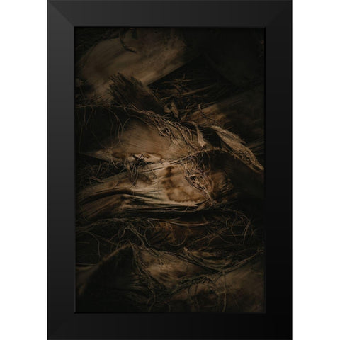 Botanical Series - Palm Bark Black Modern Wood Framed Art Print by Elijas, Eva
