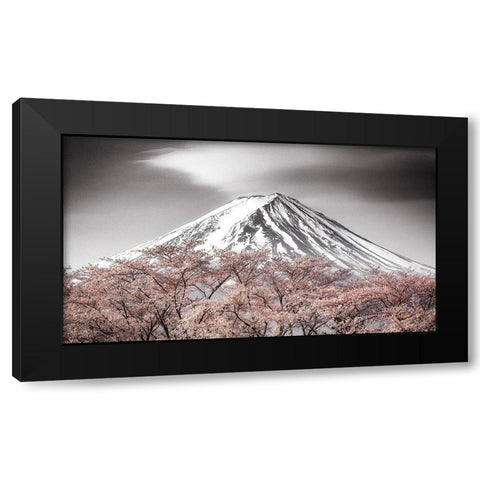 Sakura Fuji Black Modern Wood Framed Art Print by Mitamura, Takeshi