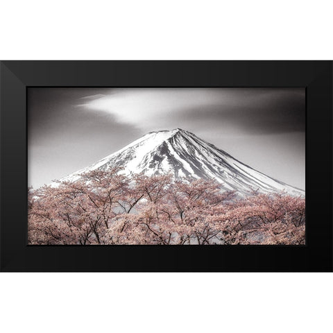Sakura Fuji Black Modern Wood Framed Art Print by Mitamura, Takeshi