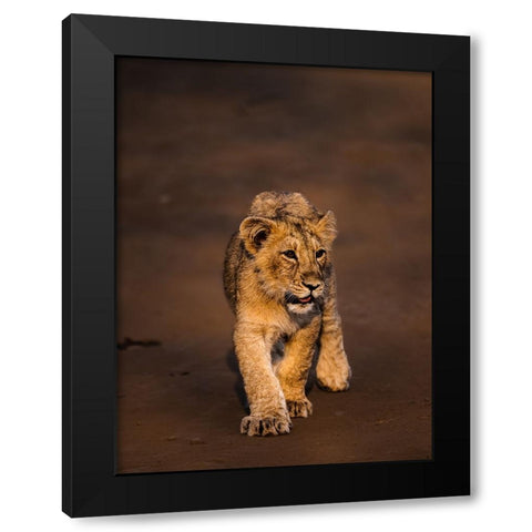 New Blood ! Black Modern Wood Framed Art Print by Singodia, Kanchan