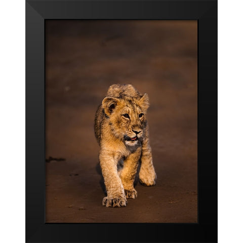 New Blood ! Black Modern Wood Framed Art Print by Singodia, Kanchan