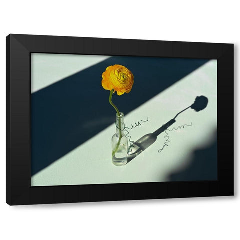 Light A Shadow Black Modern Wood Framed Art Print by Basso, Donatella