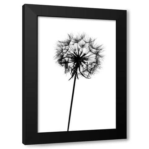 Contrasts Black Modern Wood Framed Art Print with Double Matting by Malysheva, Tatiana