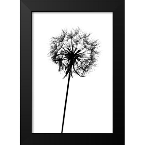 Contrasts Black Modern Wood Framed Art Print by Malysheva, Tatiana