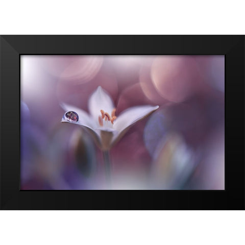 Time Traveller.. Black Modern Wood Framed Art Print by Nan, Juliana