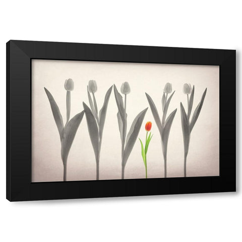 Tulip Forest Black Modern Wood Framed Art Print by Jacobs, Lydia