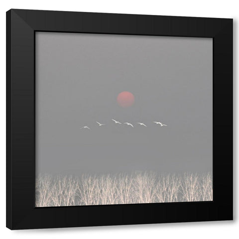 There are gods in the sky Black Modern Wood Framed Art Print with Double Matting by Fei, Hsiao-Yang