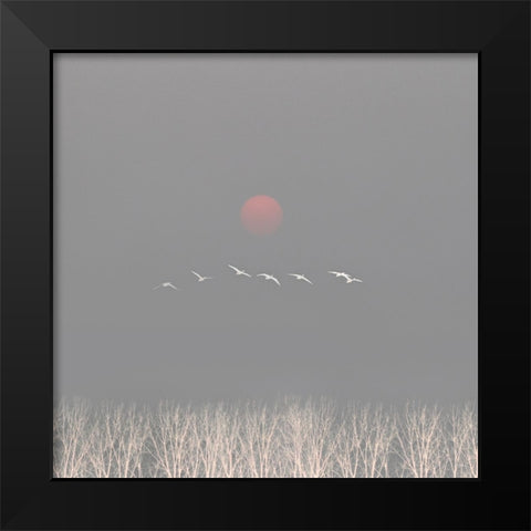 There are gods in the sky Black Modern Wood Framed Art Print by Fei, Hsiao-Yang