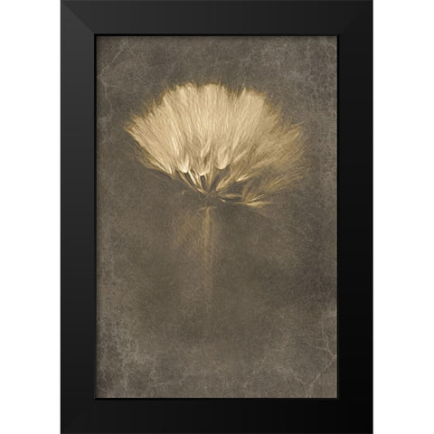 Mysterious Days Black Modern Wood Framed Art Print by Kiral, Cicek