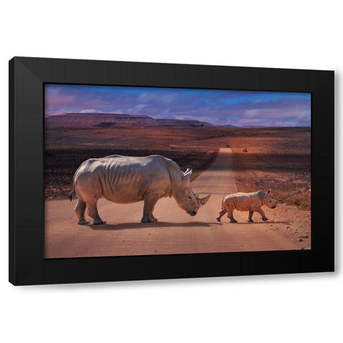 RhinosCrossing Black Modern Wood Framed Art Print with Double Matting by Egger, Marcel