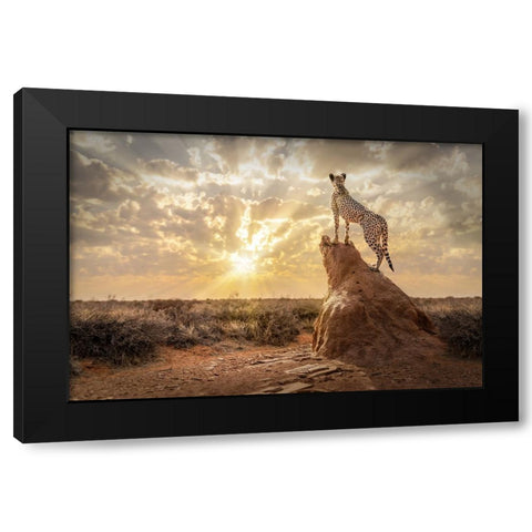 SundownCheetah Black Modern Wood Framed Art Print by Egger, Marcel