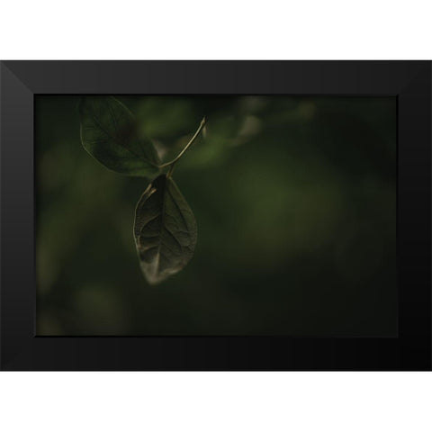 Botanical Series - Leaves 1/5 Black Modern Wood Framed Art Print by Elijas, Eva