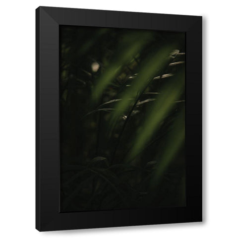 Botanical Series - Leaves 2/5 Black Modern Wood Framed Art Print by Elijas, Eva