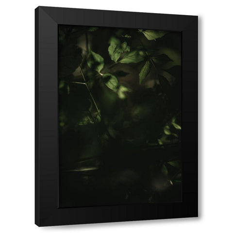 Botanical Series - Leaves 3/5 Black Modern Wood Framed Art Print by Elijas, Eva