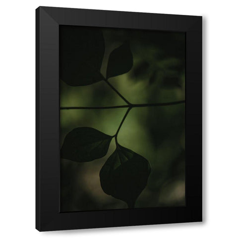 Botanical Series - Leaves 4/5 Black Modern Wood Framed Art Print by Elijas, Eva