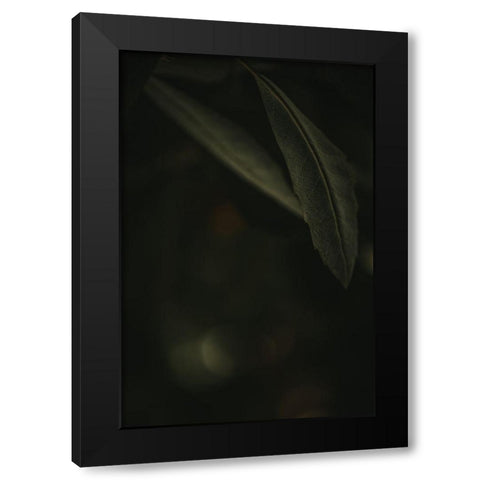Botanical Series - Leaves 5/5 Black Modern Wood Framed Art Print by Elijas, Eva