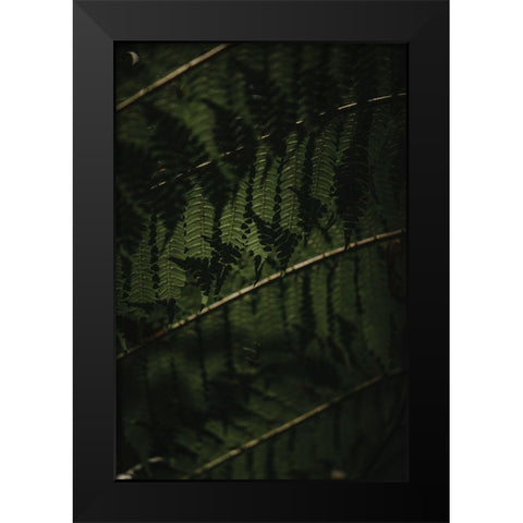 Botanical Series - Fern 2/2 Black Modern Wood Framed Art Print by Elijas, Eva