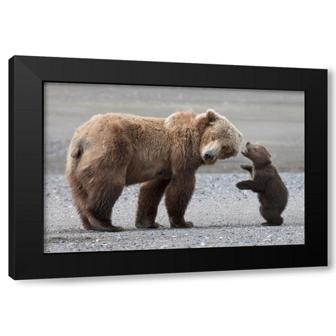 Momma Please Black Modern Wood Framed Art Print by D Lester, Linda