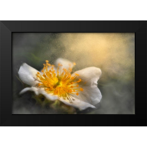 Dreaming Black Modern Wood Framed Art Print by Kiral, Cicek