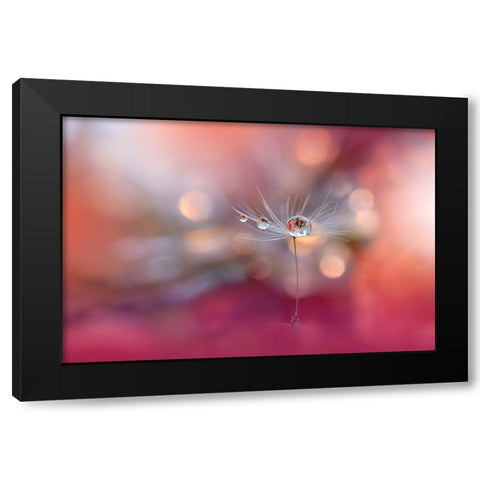 Colors Of Love.. Black Modern Wood Framed Art Print by Nan, Juliana