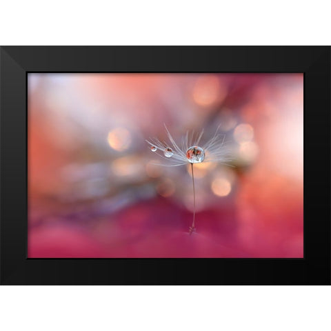 Colors Of Love.. Black Modern Wood Framed Art Print by Nan, Juliana