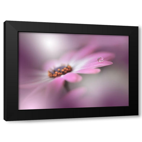 Echoes Of Hope...II Black Modern Wood Framed Art Print by Nan, Juliana