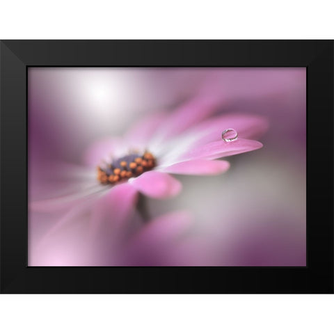 Echoes Of Hope...II Black Modern Wood Framed Art Print by Nan, Juliana