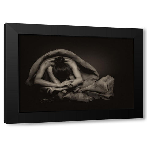 Roses Black Modern Wood Framed Art Print with Double Matting by Photography Expressive