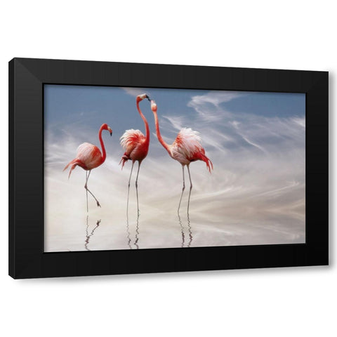 ... Black Modern Wood Framed Art Print by Cseresnjes, Anna