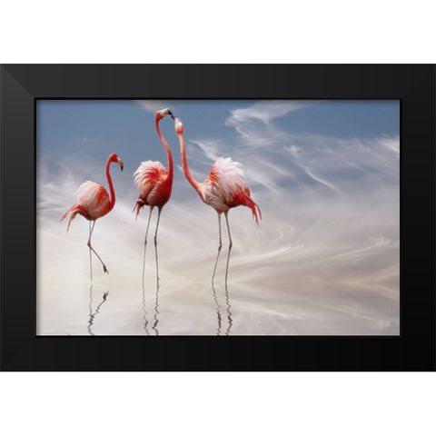 ... Black Modern Wood Framed Art Print by Cseresnjes, Anna