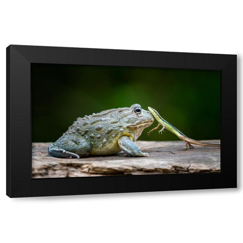 Huggy Black Modern Wood Framed Art Print by Suharini, Mieke