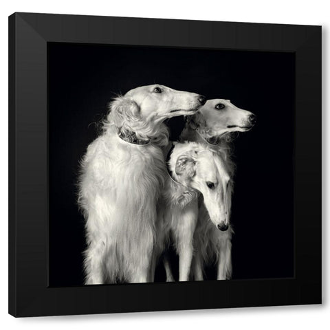 3 of a kind Black Modern Wood Framed Art Print with Double Matting by Engelbos, Mieke