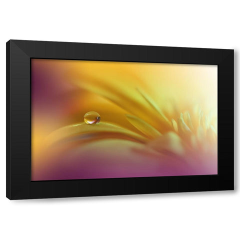 A World Of Color.. Black Modern Wood Framed Art Print by Nan, Juliana