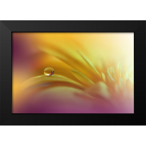 A World Of Color.. Black Modern Wood Framed Art Print by Nan, Juliana