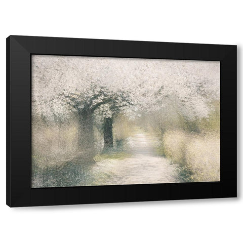 Cherry blossom Black Modern Wood Framed Art Print by Talen, Nel