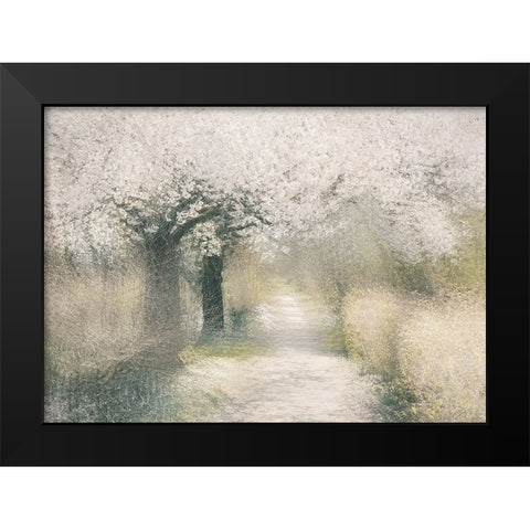 Cherry blossom Black Modern Wood Framed Art Print by Talen, Nel