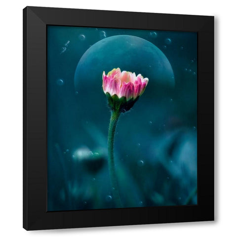 A flowers dream Black Modern Wood Framed Art Print by Stefanel, Nicolae