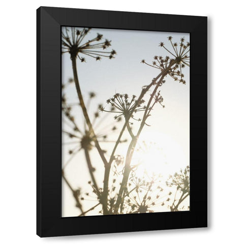 Beach flowers_001 Black Modern Wood Framed Art Print by 1x Studio III