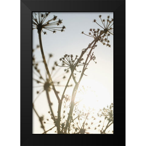 Beach flowers_001 Black Modern Wood Framed Art Print by 1x Studio III