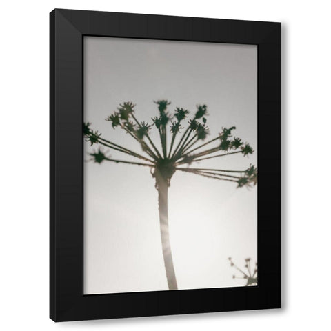 Beach flowers_002 Black Modern Wood Framed Art Print by 1x Studio III