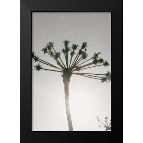 Beach flowers_002 Black Modern Wood Framed Art Print by 1x Studio III