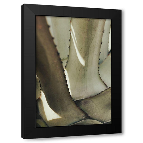 Agave_002 Black Modern Wood Framed Art Print with Double Matting by 1x Studio III