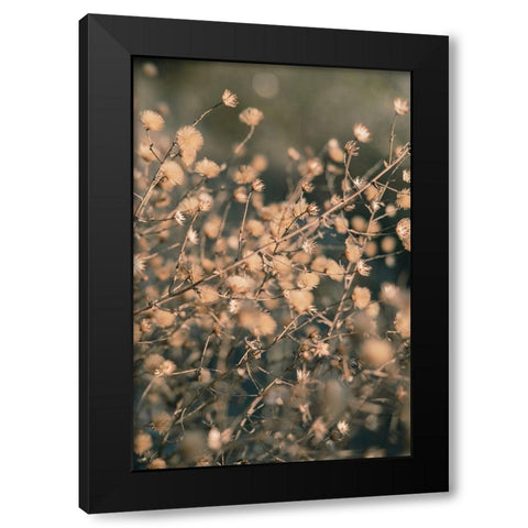 Beach flowers_003 Black Modern Wood Framed Art Print by 1x Studio III