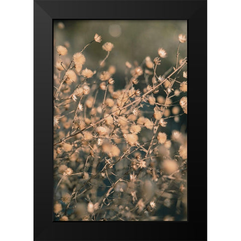 Beach flowers_003 Black Modern Wood Framed Art Print by 1x Studio III