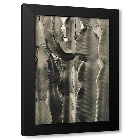 Cactus_002 Black Modern Wood Framed Art Print with Double Matting by 1x Studio III