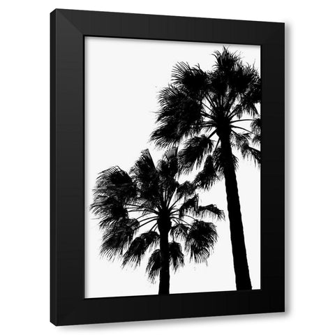 Palm Contrast Black Modern Wood Framed Art Print with Double Matting by 1x Studio III