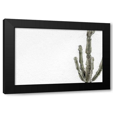 Cactus_004 Black Modern Wood Framed Art Print with Double Matting by 1x Studio III